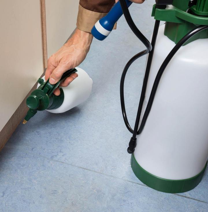 Diagnostic parasitaire Mortagne-au-Perche